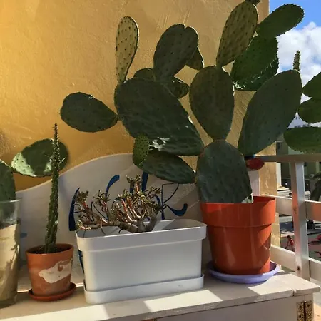 Apartment Anchor House Corralejo